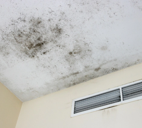 mold on the ceiling